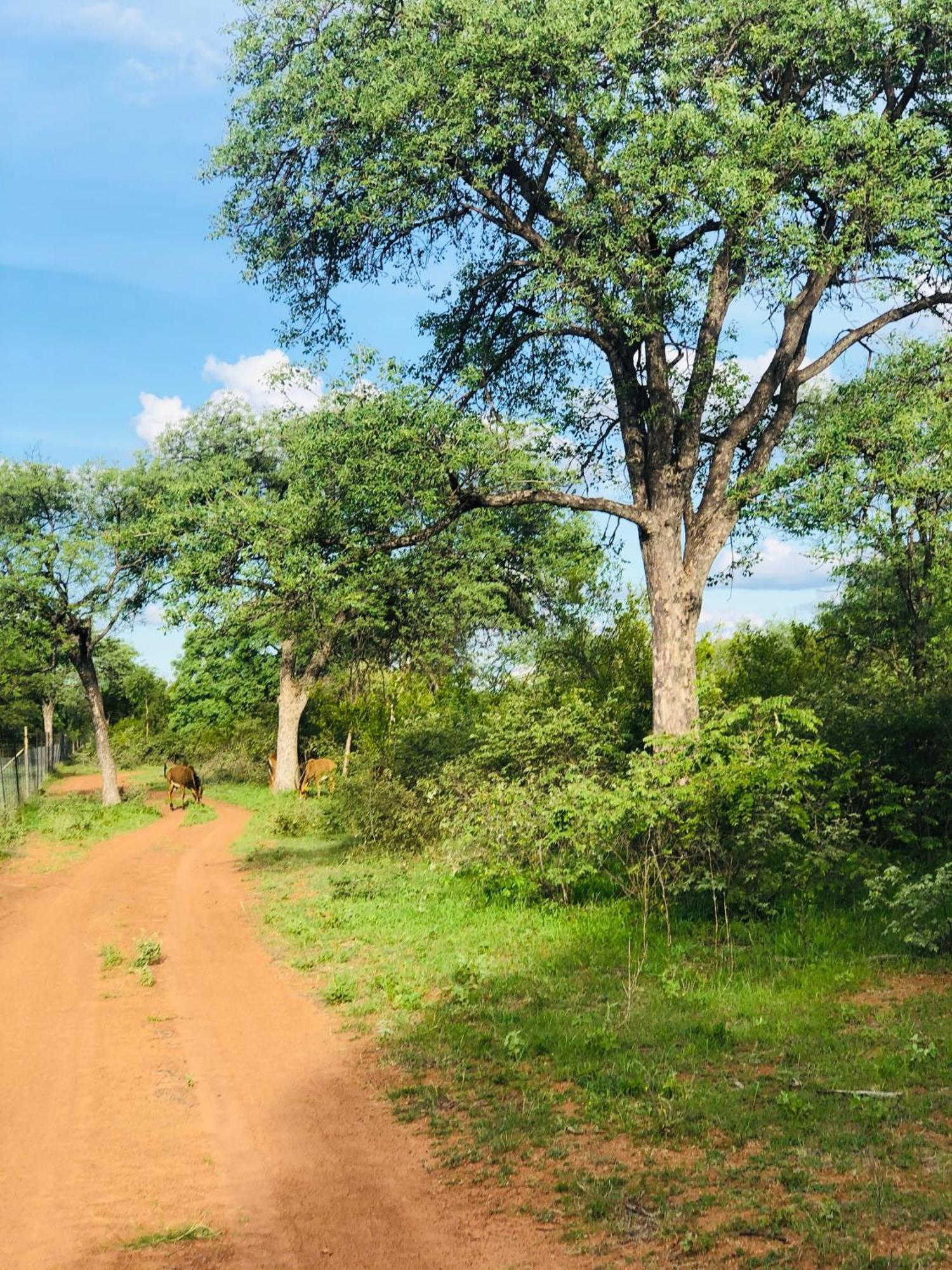 Simba Safaris African Pride Exotic Lodge Lephalale Exterior foto